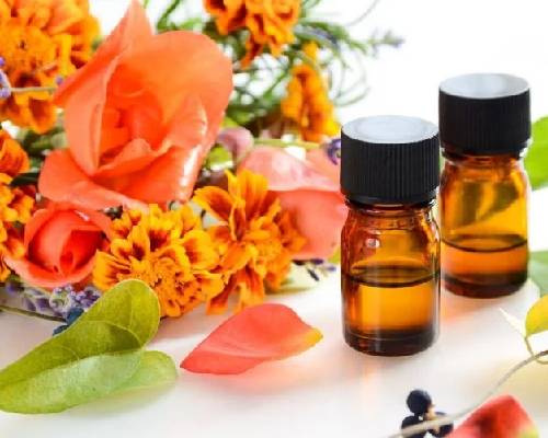 Tagetes Oil  Manufacturers