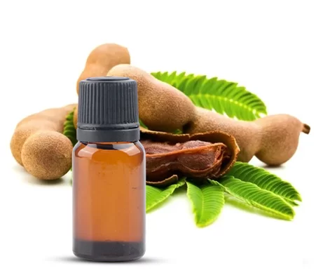 Coriander Leaf Oleoresin  Suppliers In India