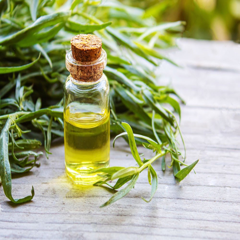 Tarragon Oil Manufacturers In Suriname