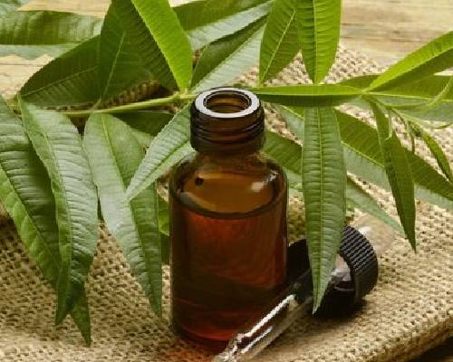 Tea Tree Oil In Nahwa