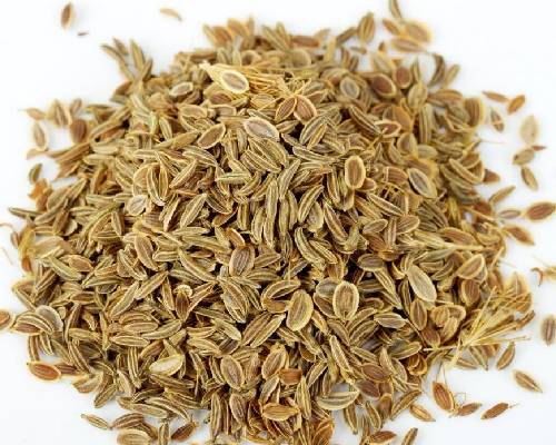 Terpeneless Dill Seed Oil In Burundi