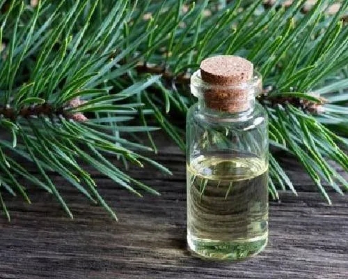 Terpineol Oil Manufacturers In India