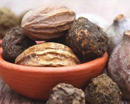 Trifla Manufacturers In India