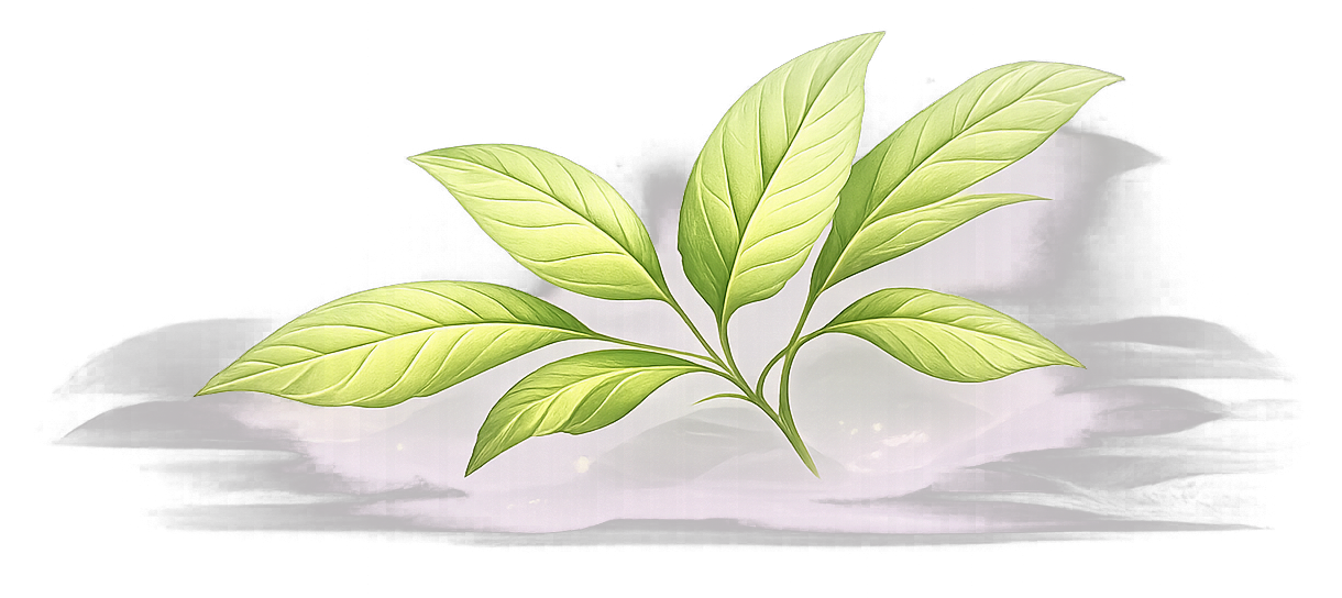 Leaf