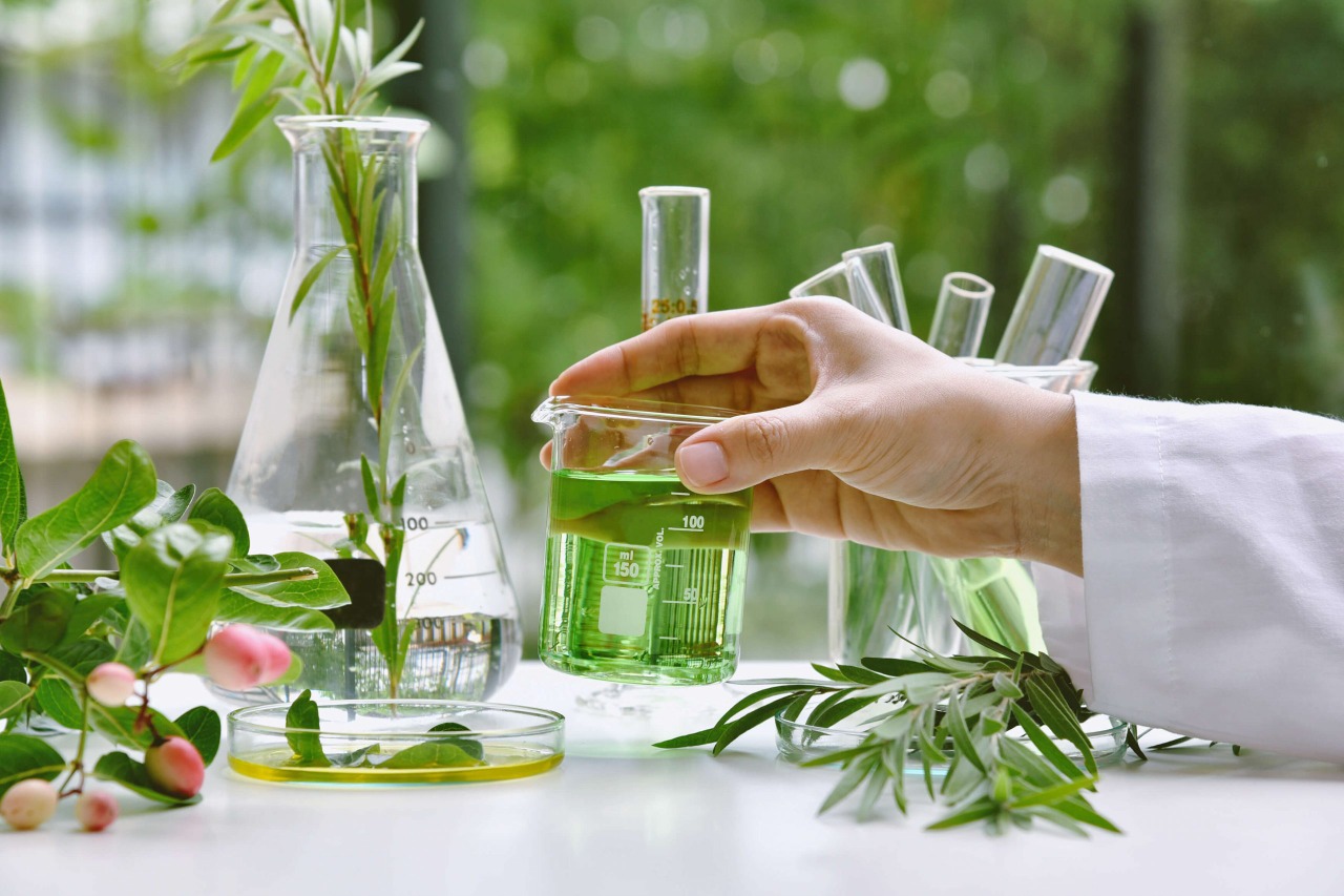10 Ways to Incorporate Herbal Extracts into Your Daily Life