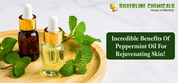Incredible Benefits Of Peppermint Oil For Rejuvenating Skin!