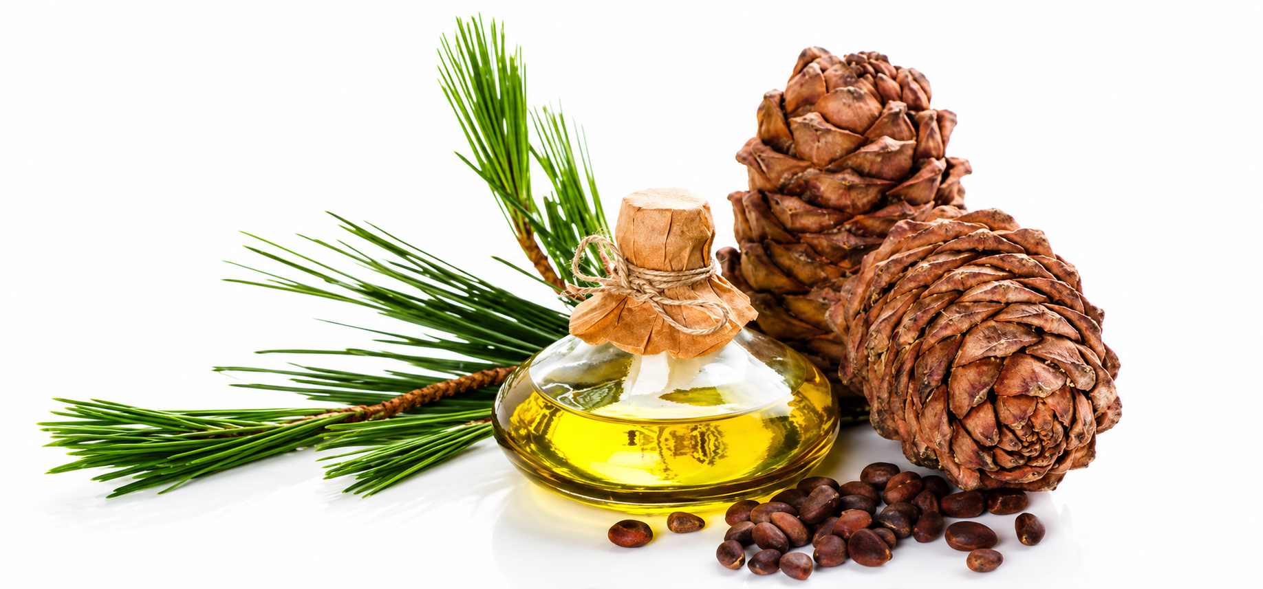 Cedar Wood Oil Manufacturers: Common Mistakes Buyers Should Avoid
