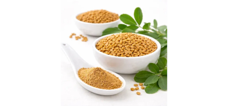 Fenugreek Extract Manufacturers: A Complete Buyer's Guide for Bulk Sourcing