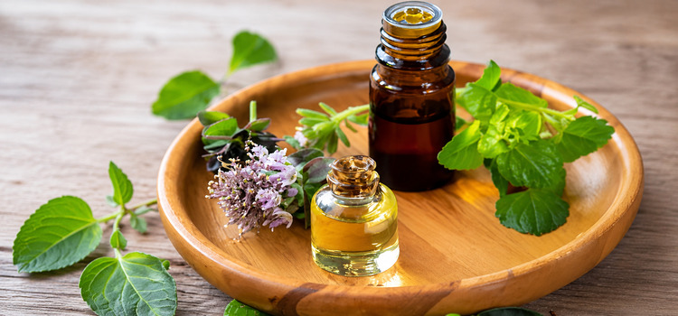 Top Patchouli Oil Manufacturers for Cosmetic, Aromatherapy, and Pharmaceutical Industries