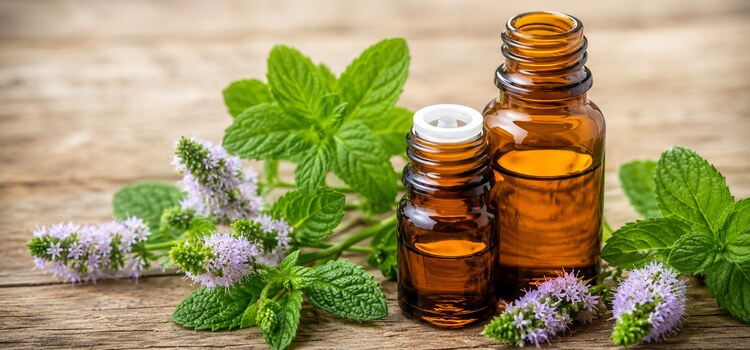 The Ultimate Guide to Selecting the Right Peppermint Oil Manufacturers for Your Business