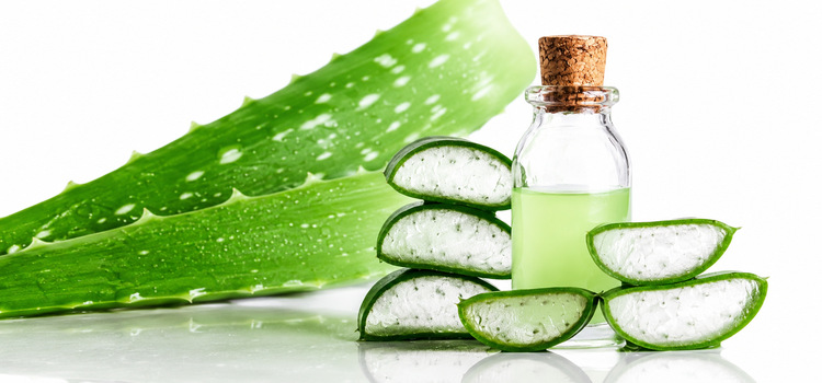How Aloe Vera Oil Manufacturers Ensure 100% Pure and Premium Quality Oil
