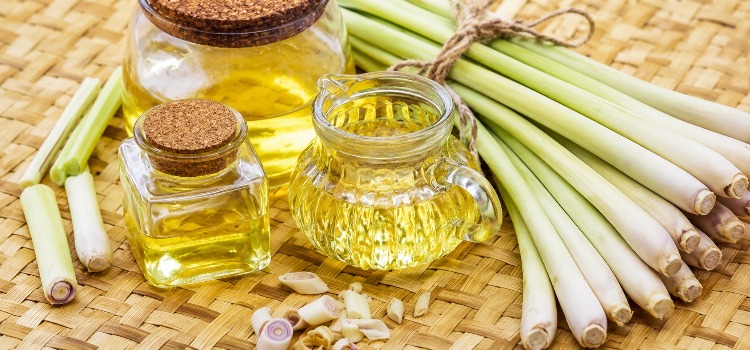 7 Mistakes to Avoid When Selecting Lemongrass Oil Manufacturers 7 Mistakes to Avoid When Selecting Lemongrass Oil Manufacturers