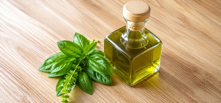 Top 7 Benefits of Buying from Professional Basil Oil Manufacturers Top 7 Benefits of Buying from Professional Basil Oil Manufacturers