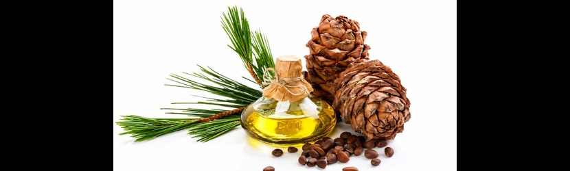 Choosing the Top Cedar Wood Oil Manufacturers for Premium Quality Choosing the Top Cedar Wood Oil Manufacturers for Premium Quality