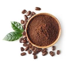 Angelica Oil Manufacturers In Boston