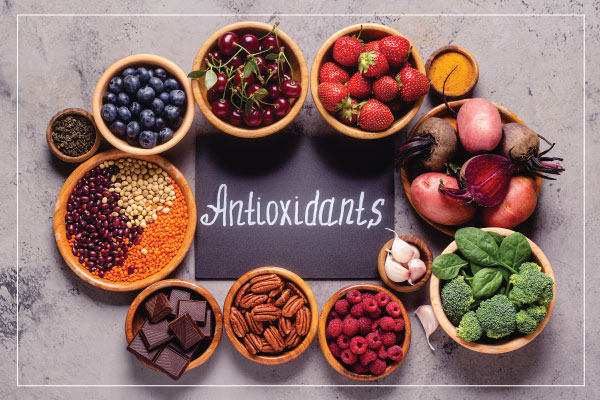 Antioxidents Manufacturers