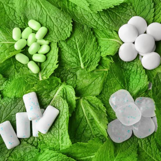 Natural Menthol Powder Manufacturers In China