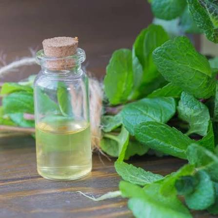 Natural Menthone Manufacturers In China