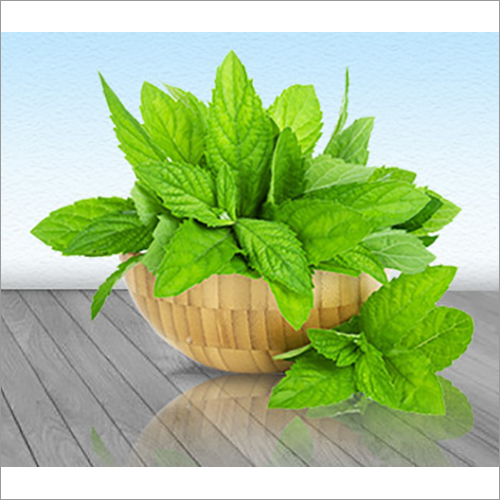 Menthone Graded Manufacturers In China