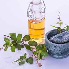 Ocimum Basilicum Oil Manufacturers In Egypt
