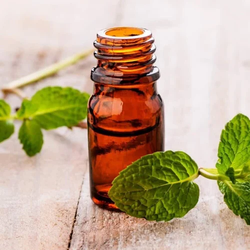Mentha Piperita BP/EP Manufacturers In Canada
