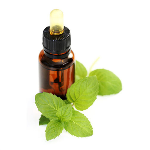 Peppermint Oil BP/EP Manufacturers In Netherlands