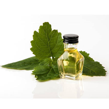 Natural Patchouli Oil Manufacturers In Brazil