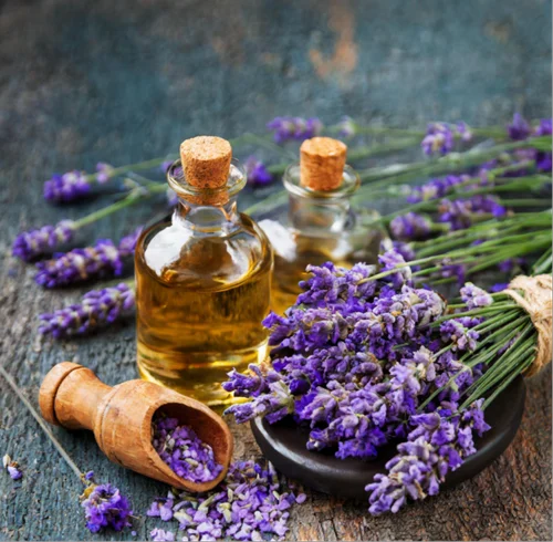 Natural Lavender Oil Manufacturers