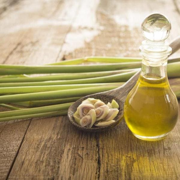 Natural Lemongrass Oil Manufacturers