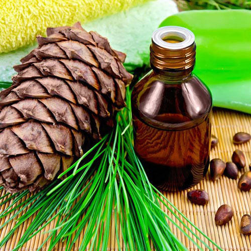 Cedarwood Oil Manufacturers In Egypt