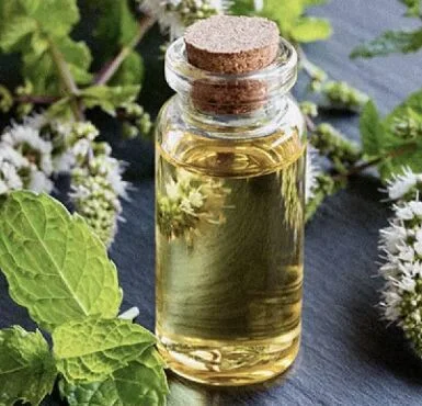 Natural Anethole Ex Basil Manufacturers In South Africa