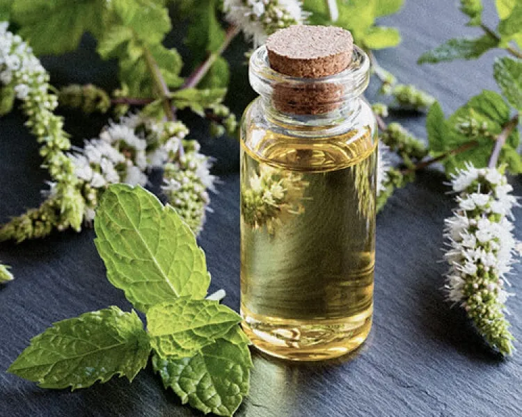 Natural Cis Hexenol Ex Mint Manufacturers In South Africa