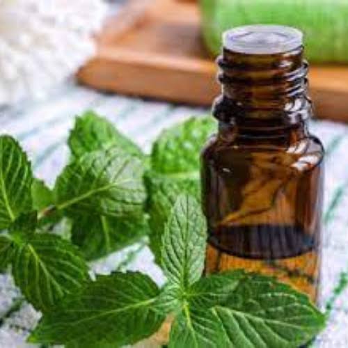 Menthone (90:10) Manufacturers In South Africa