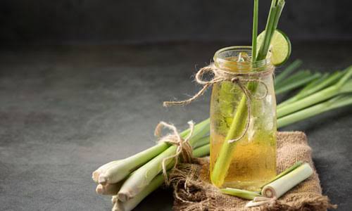 Citral Ex Lemongrass Manufacturers In South Africa