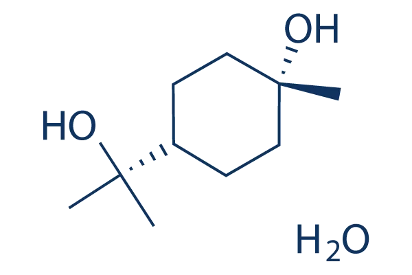 Terpin Hydrate Manufacturers In Peru