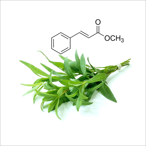 Menthyl Chaviol Manufacturers In United Kingdom