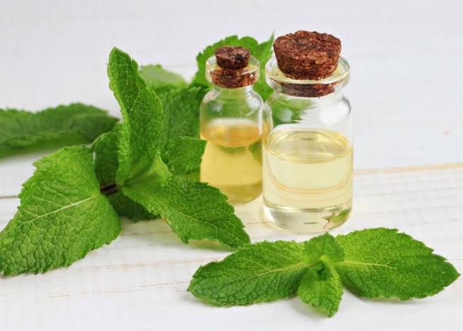Mentha Oil Manufacturers In United Kingdom