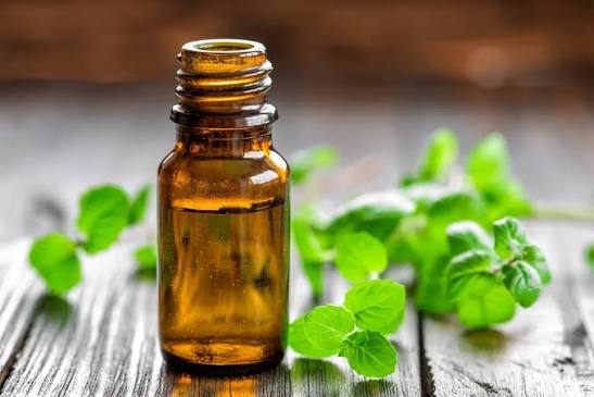 Mint Terpenes Manufacturers In United Kingdom