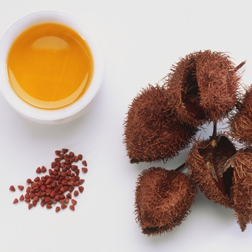 Annatto Orange Color  Manufacturers