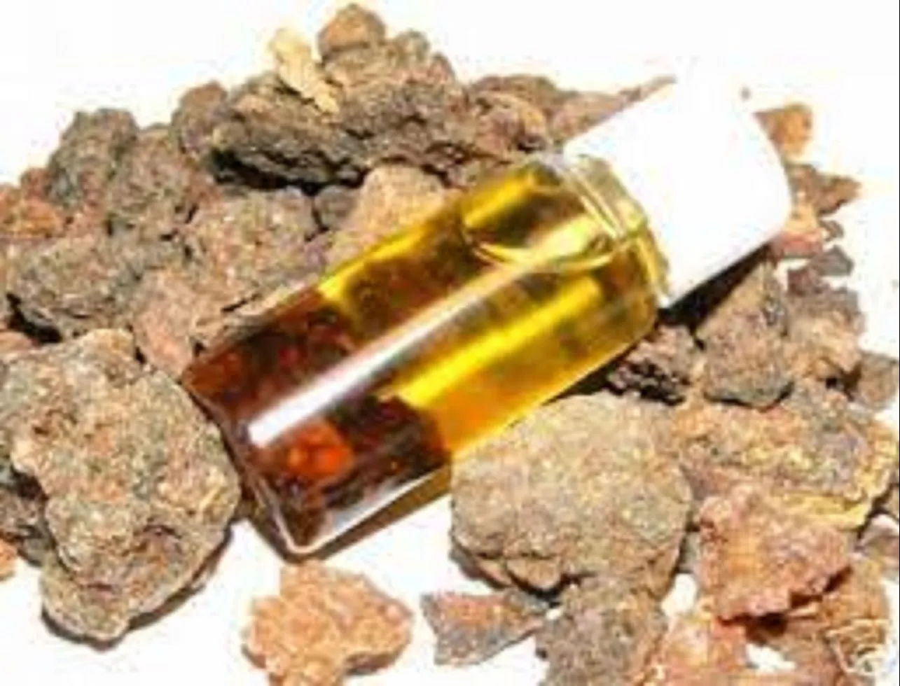 Asafoetida Oleoresin W/S Manufacturers In Morocco