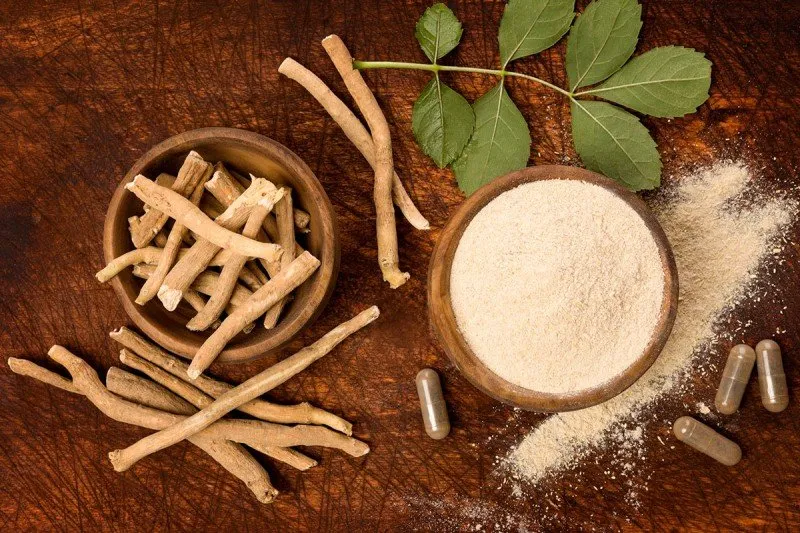 Ashwagandha Extract Manufacturers In Yemen