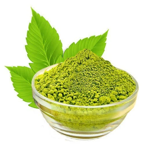 Basil Extract Manufacturers In Germany