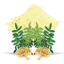 Boswellia Extract Manufacturers In Germany