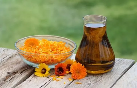 Calendula Extract Manufacturers In Germany