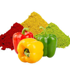 Capsicum Powder Manufacturers In Germany