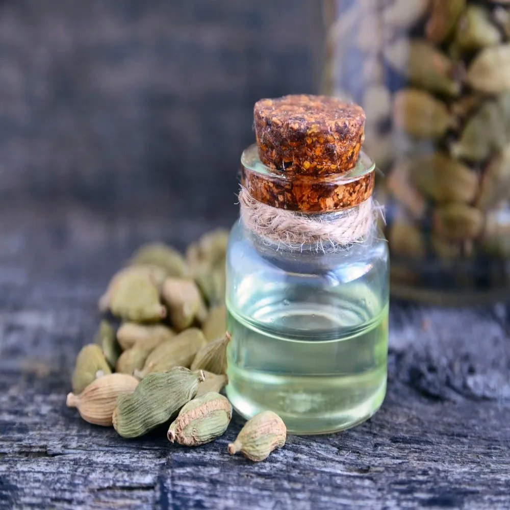 Cardamom Oleoresin W/S Manufacturers In Yemen