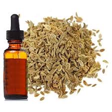 Celery Oil Manufacturers In Germany