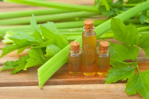 Celery Oleoresin Manufacturers In Germany