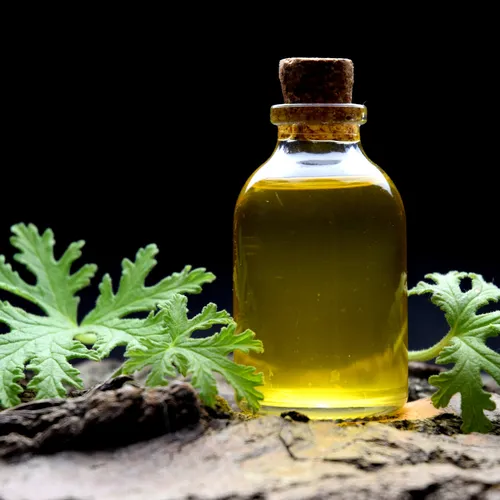 Citronella Oil Manufacturers In Fiji