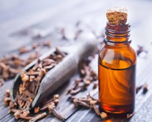 Clove Oil Manufacturers In Vietnam